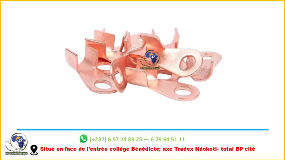 COSSES BATTERIE 100A(paires)